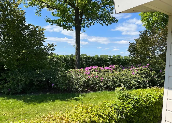 Op De Veluwe Met Landelijk Uitzicht En Privacy Nunspeet